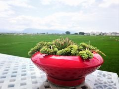 -喜林苑·稻田餐厅(品相府店)