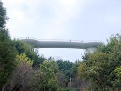 -飞凤山奥体公园