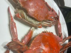 -连鹭海鲜·海肠捞饭·欢聚宴请(星海店)
