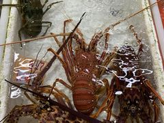 -澳门环岛游湾仔码头