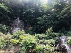 -陶祖圣境风景区