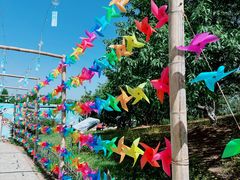 -北京西山国家森林公园