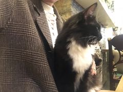 -猫色咖啡·猫咖