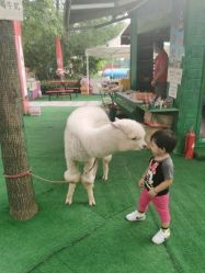 -萌宠亲子动物乐园(槐房万达店)