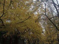 -四川大学华西医院-地下停车场