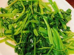 炒空心菜-谢大牛馆·中式卤牛排(老店)