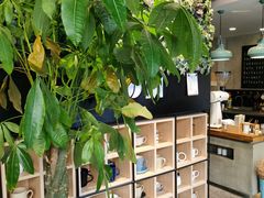 -ZM COFFEE(西安路店)