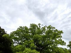 -奈良公园