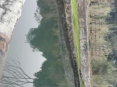 android_upload_pic-成都市活水公园