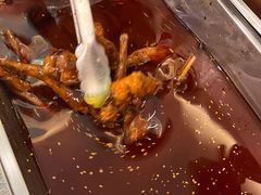 香辣手撕烤兔-鸿运兔·手撕烤兔(天府广场店)
