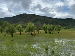-泸沽湖国家级风景名胜区走婚桥