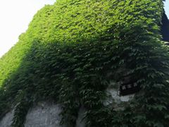 -乌镇东栅景区-江南百床馆