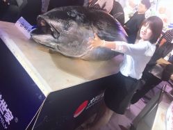 -北京柏悦酒店宴会厅