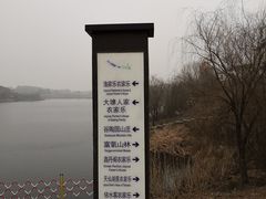 -大塘金香草谷