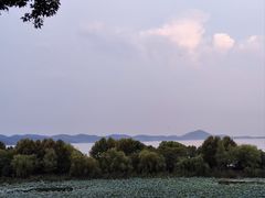 -上海市保健医疗中心