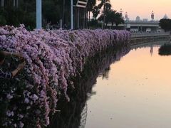 -南宁南湖公园