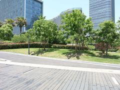 -金沙湖公园