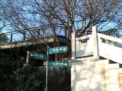 -紫金山山顶公园