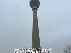 -太平洋海底世界