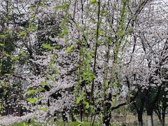-堤角公园