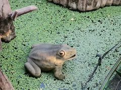 -长鹿旅游休博园