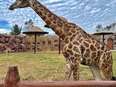 -济南野生动物世界