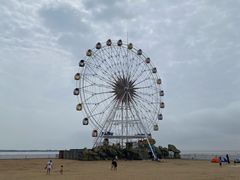 -奉贤海滩