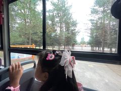 -北极村旅游风景区