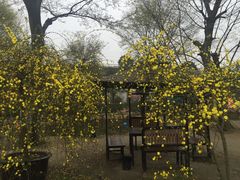 -秀丽东方