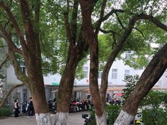 -杭州半山国家森林公园