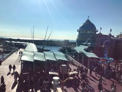 -海底巡游艇:尼莫和好友的海洋世界