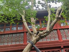 -东山雕花楼