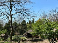 -上海野生动物园