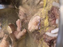 -润园四季椰子鸡火锅(南山海岸城店)