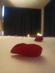 -隐逸SPA