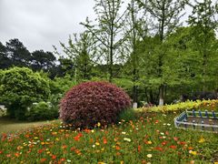 -铁山坪森林公园