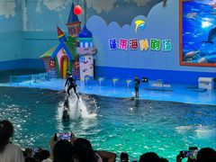 -蓬莱欧乐堡海洋极地世界