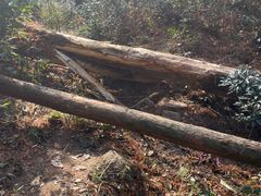 -东钱湖旅游度假区