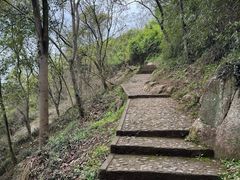 -上海佘山国家森林公园天马山园