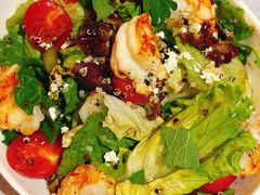 -Efes Turkish & Mediterranean Cuisine 艾菲斯餐厅(陆家嘴店)