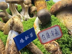 -束河人家(南锣鼓巷店)