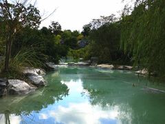 -吴淞炮台湾湿地森林公园烧烤区