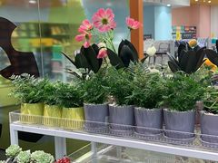 -KKV(常州新北万达广场店)