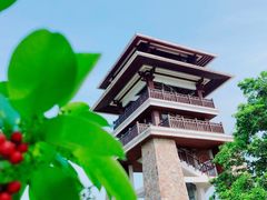 -大湾区中央湿地公园