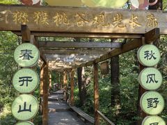 -大岭沟猕猴桃谷风景区