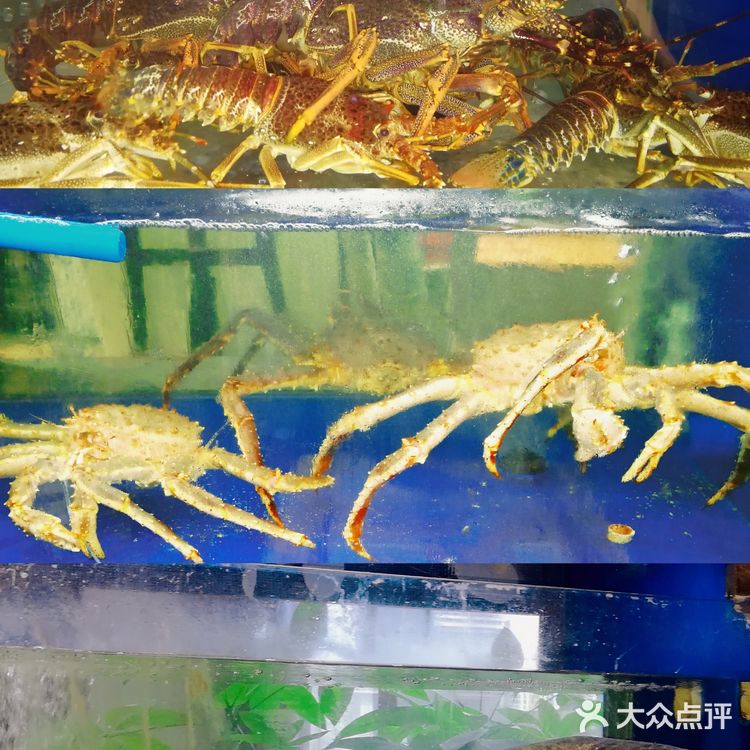 南京西路上东海汇餐厅的海鲜，鲜的眉毛也掉下来