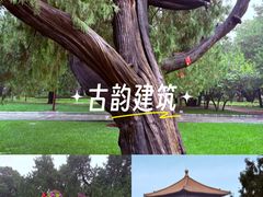 -北京市劳动人民文化宫(太庙)