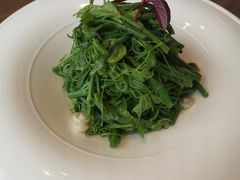 鸡油豌豆苗-粤界(望京金辉店)