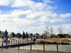 -盐城丹顶鹤湿地生态旅游区