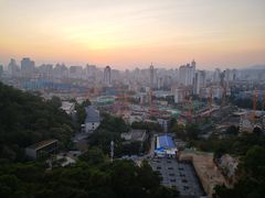 -金鸡山公园